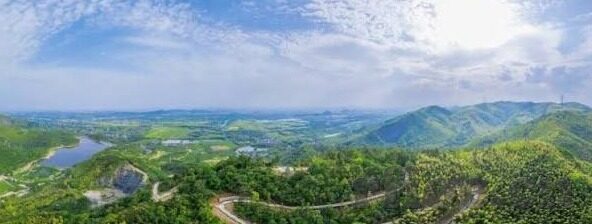 大象传媒官网新-大象传媒官网新启航，创新与融合的数字媒体新篇章