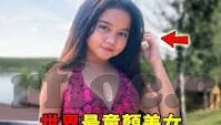 麻豆传谋app-麻豆传谋APP，重塑数字生活的新篇章