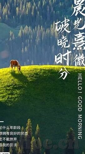 人妻高清-探索人妻高清，细腻情感与真实生活的交织